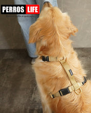 犬用ハーネス PERROS - 安全で快適な獣医師推奨ハーネス - Alice's Dog & Catproduct_type　レトリバー