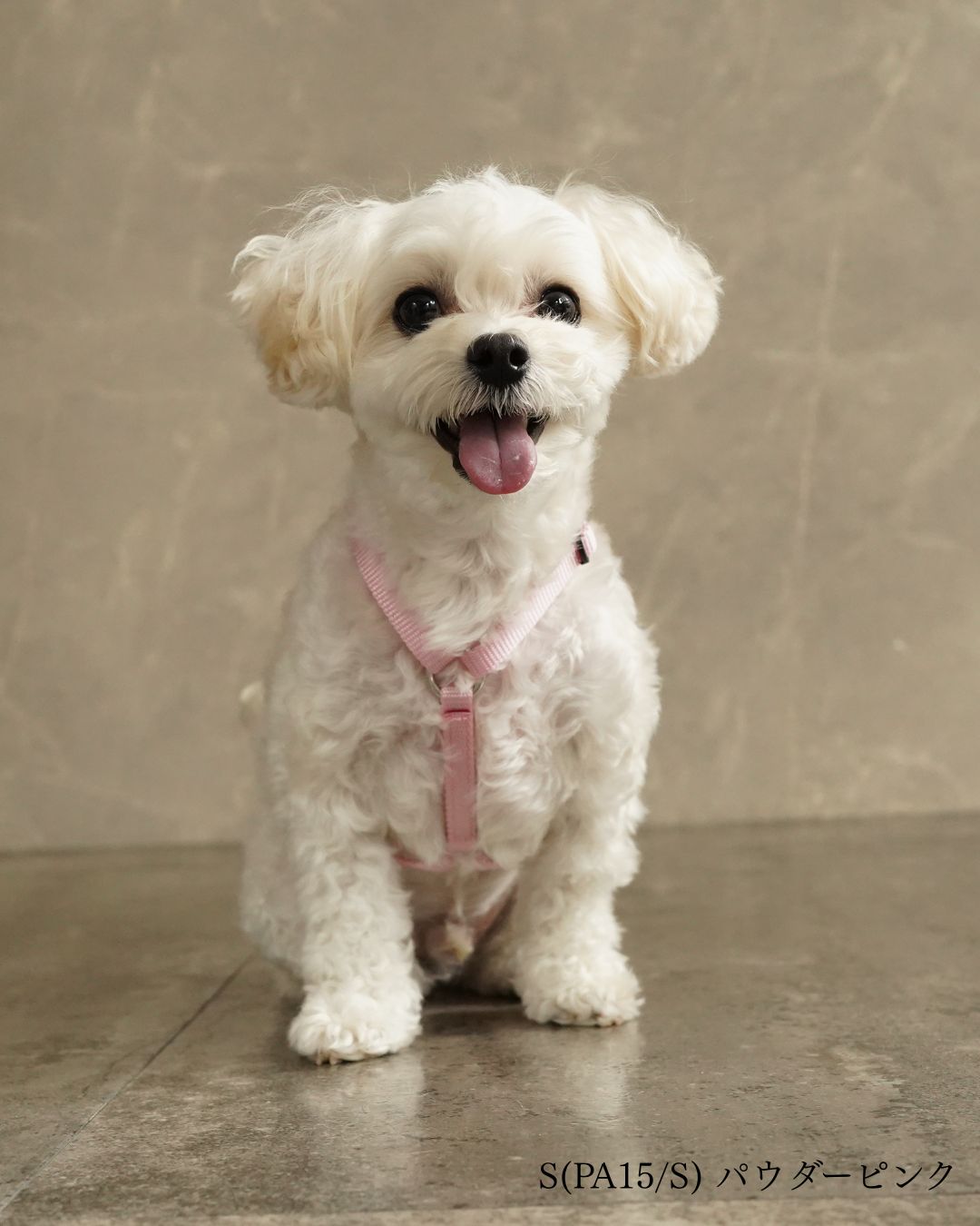 犬用ハーネス PERROS - 獣医師推奨 信頼のペルロスハーネス｜ペット用首輪・ハーネス｜犬用ハーネス PERROS - 獣医師推奨 信頼のペルロスハーネス