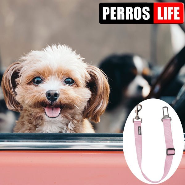 犬用 PERROS - 車用シートベルトリーシュ | 安全なドライブ用リード｜ペット用リード