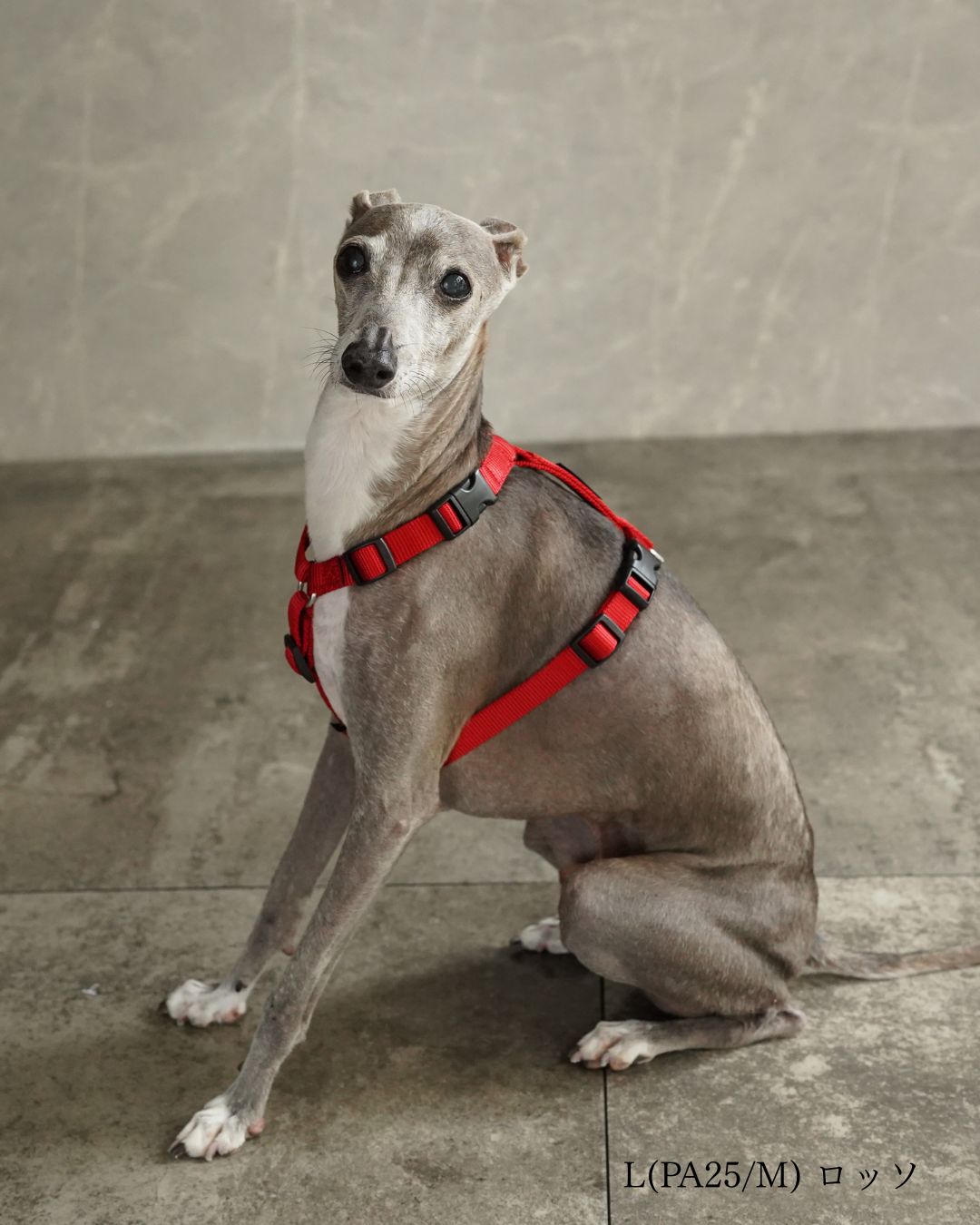 犬用ハーネス PERROS - 獣医師推奨 信頼のペルロスハーネス｜ペット用首輪・ハーネス｜犬用ハーネス PERROS - 獣医師推奨 信頼のペルロスハーネス