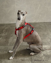 犬用ハーネス PERROS - 獣医師推奨 信頼のペルロスハーネス｜ペット用首輪・ハーネス｜犬用ハーネス PERROS - 獣医師推奨 信頼のペルロスハーネス