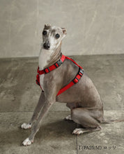 犬用ハーネス PERROS - 獣医師推奨 信頼のペルロスハーネス｜ペット用首輪・ハーネス｜犬用ハーネス PERROS - 獣医師推奨 信頼のペルロスハーネス