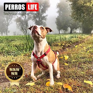 犬用ハーネス PERROS Xハーネス 胸が厚く丸い犬用 - Alice&