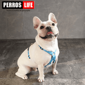 犬用ハーネス PERROS - 胸が厚く丸い犬用のXハーネス｜ペット用首輪・ハーネス｜ 胸が厚く丸い犬用のペルロスXハーネス　フレンチブル ピッドブル