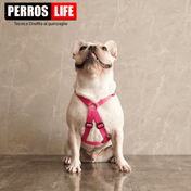 犬用ハーネス PERROS - 胸が厚く丸い犬用のXハーネス｜ペット用首輪・ハーネス｜ 胸が厚く丸い犬用のペルロスXハーネス　フレンチブル ピッドブル