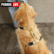 犬用ハーネス PERROS - 胸が厚く丸い犬用のXハーネス｜ペット用首輪・ハーネス｜