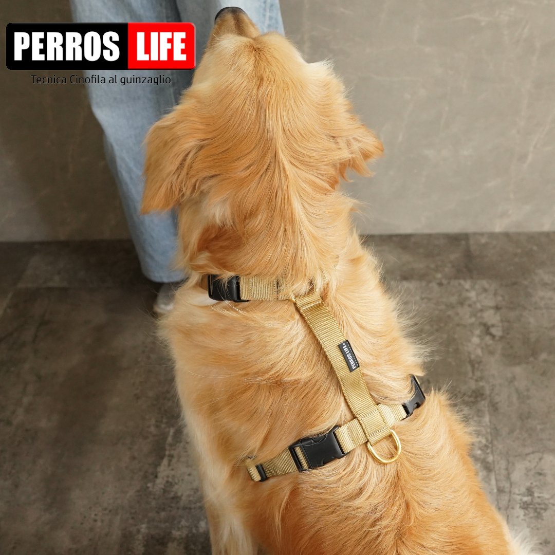 犬用ハーネス PERROS - 胸が厚く丸い犬用のXハーネス｜ペット用首輪・ハーネス｜