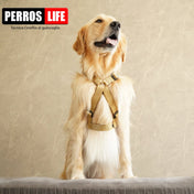 犬用ハーネス PERROS - 胸が厚く丸い犬用のXハーネス｜ペット用首輪・ハーネス｜