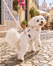犬用ハーネス PERROS（ペルロス）パウダーピンク｜首を通さないH型・Y型 イタリア製｜犬用ハーネス｜犬用ハーネス PERROS（ペルロス）パウダーピンク｜首を通さないH型・Y型 イタリア製