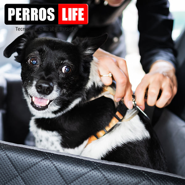 Dog car seat belt Perros leash 