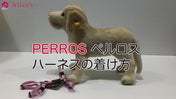 犬用ハーネス PERROS - 獣医師推奨 信頼のペルロスハーネス