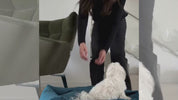 付け替え動画.mp4__PID:fc179afa-b285-4eff-906d-599958f843a4