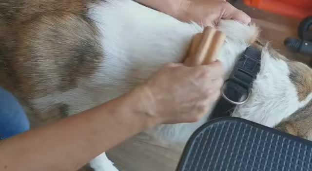 犬猫うさぎの抜け毛取り- ZOORO 短毛用 グルーミングコーム