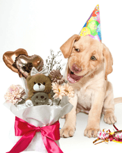 ペット シートケーキ｜犬猫の誕生日やお祝いのプレゼントにぴったり｜誕生日パーティー｜#original_value#