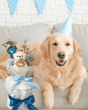 ペット シートケーキ｜犬猫の誕生日やお祝いのプレゼントにぴったり｜誕生日パーティー｜#original_value#