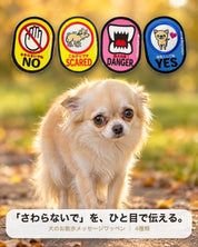 犬のお散歩メッセージワッペン 4種類（NO・SCARED・DANGER・YES）と怖がりのチワワ ｜ 「さわらないで」をひと目で伝える