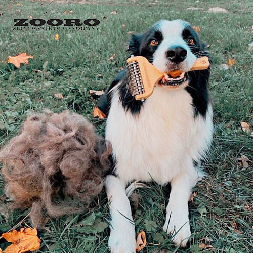 Hair loss prevention for dogs and cats with long hair ZOORO Grooming comb long type 