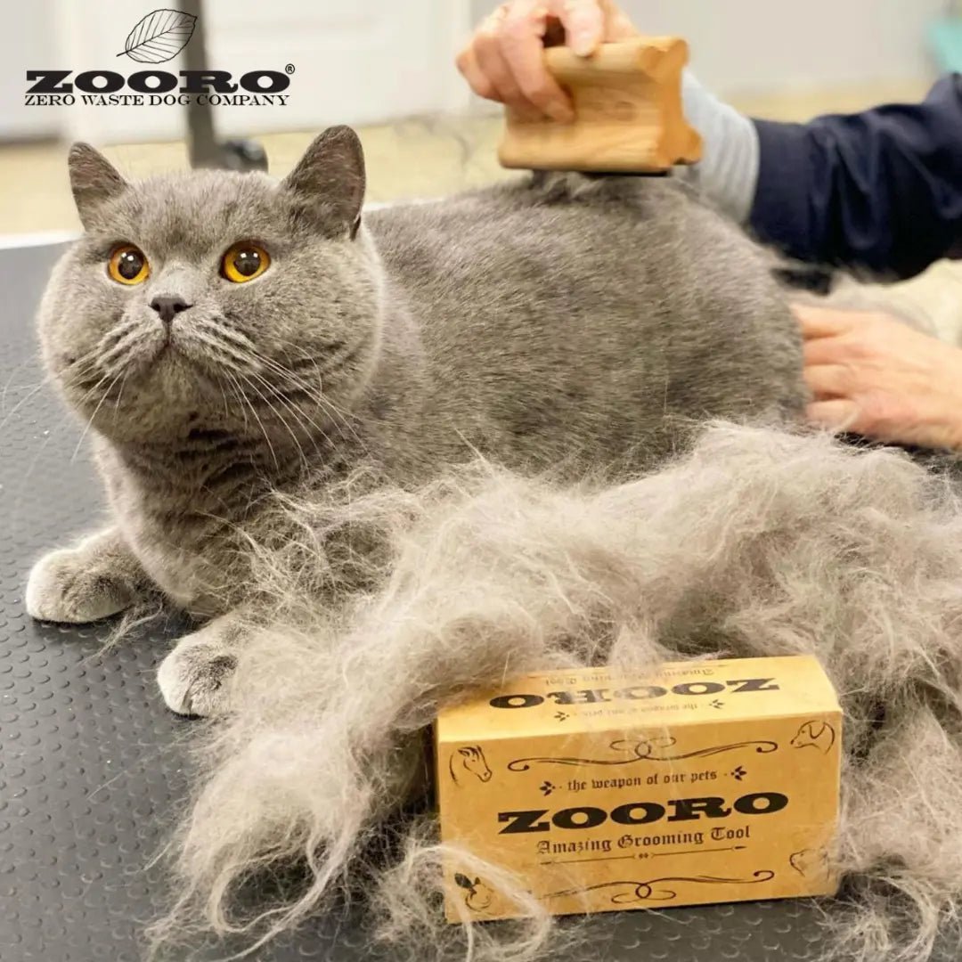 犬猫うさぎの抜け毛取り 猫の背中- ZOORO 短毛用 グルーミングコーム | プロ仕様ペット用ブラシ - Alice's Dog & Catproduct_type