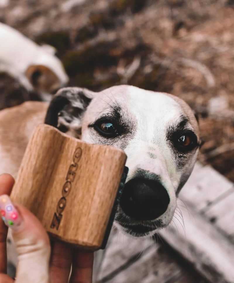 ゾログルーミングコームで毛並みを整える犬