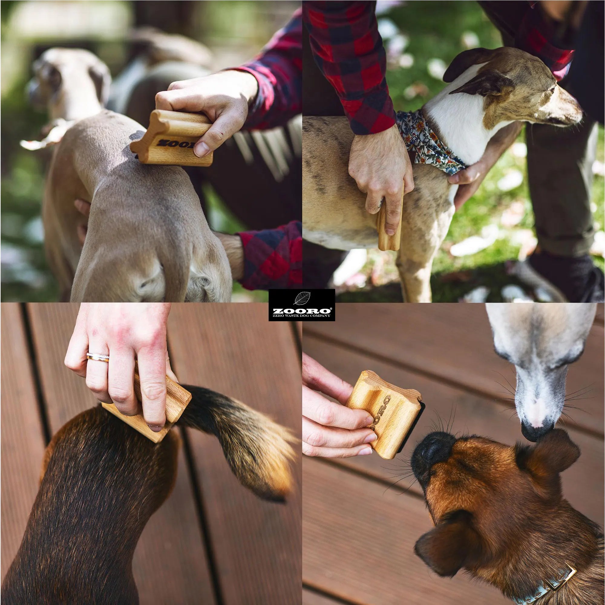 犬猫うさぎの抜け毛取り- ZOORO 短毛用 グルーミングコーム｜ペット用グルーミング用品｜犬猫うさぎの抜け毛取り- ZOORO 短毛用 グルーミングコーム