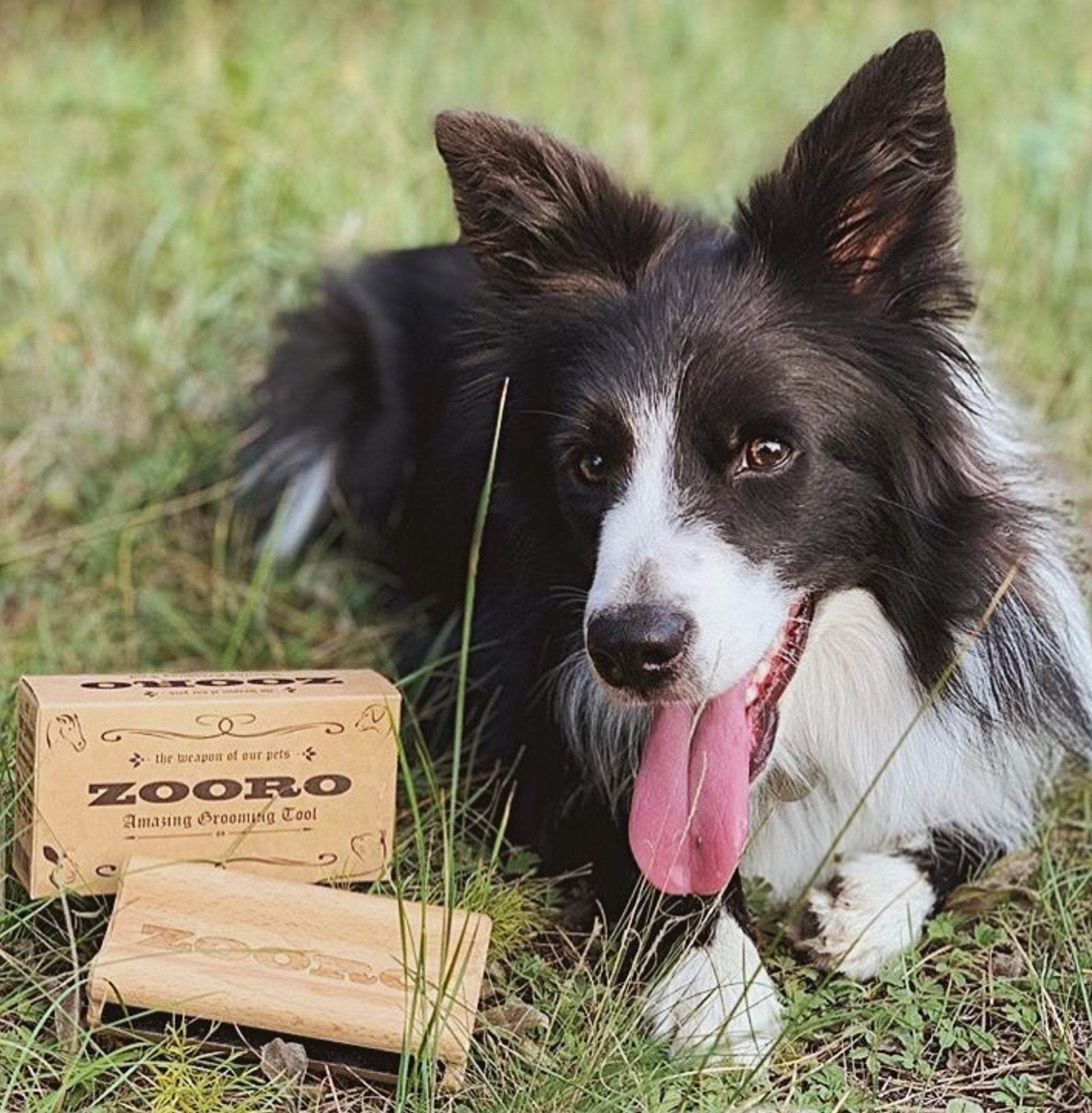 犬猫うさぎの抜け毛取り - ZOORO 短毛用 グルーミングコーム | プロ仕様ペット用ブラシ｜ペット用グルーミング用品