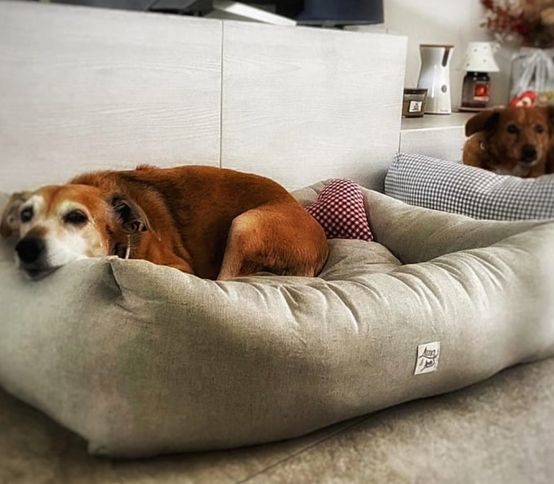 犬用ベッド Leo & Luna レオエルナ ペット用ベッド -シッタ