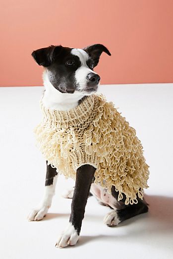 maxbone dog cat curly knit jumper 