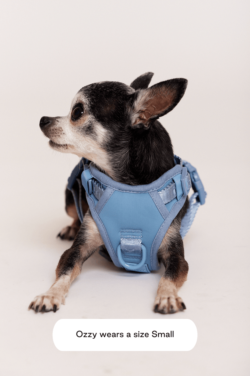 maxbone easy fit harness for dogs 