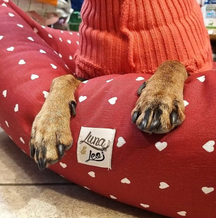 犬猫ベッド Leo & Luna レオエルナ ペット用ベッド -カリノ