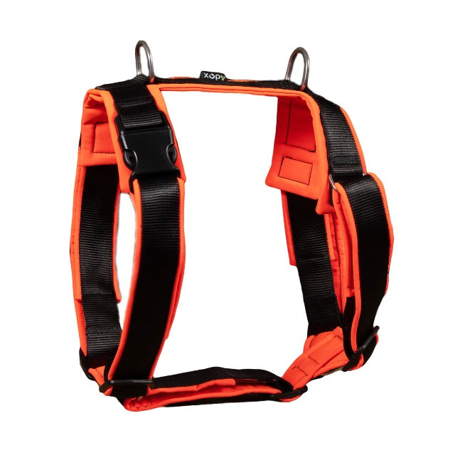 dog harness 4dox comfort plus harness 